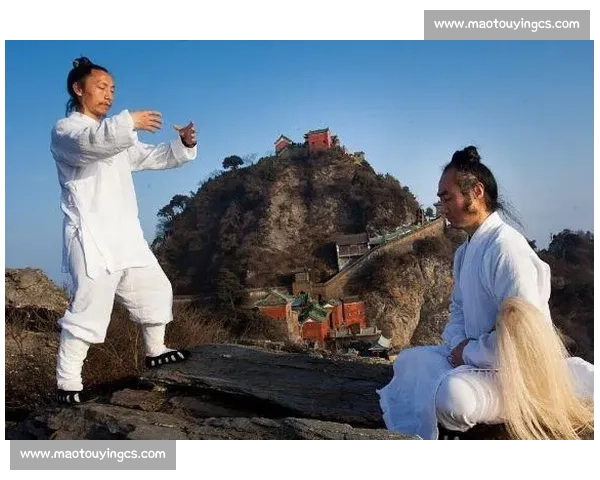 见招拆招，一拳定音：从博弈到决胜的制胜策略